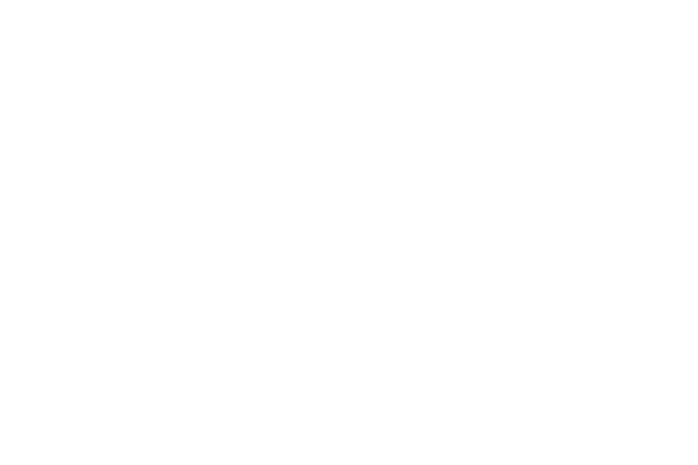Nexus